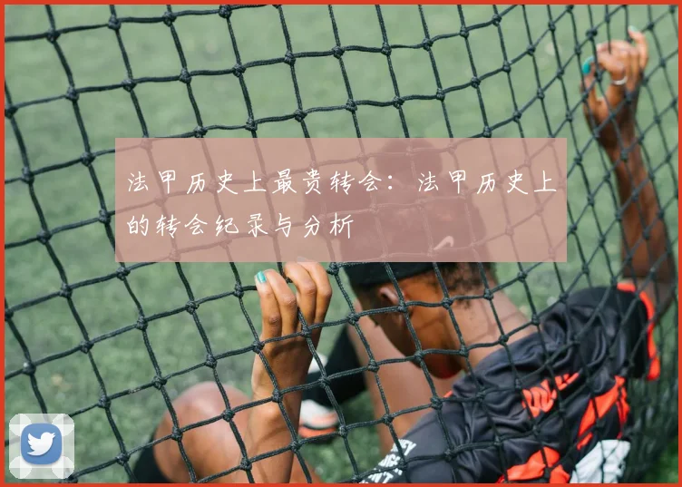 法甲历史上最贵转会：法甲历史上的转会纪录与分析