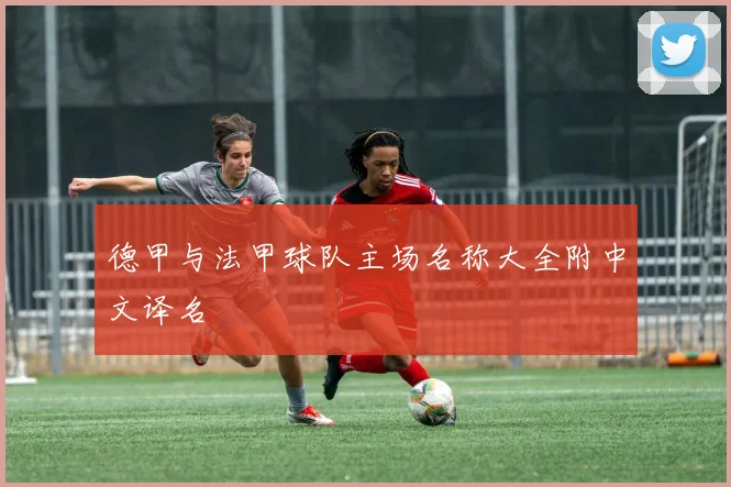 德甲与法甲球队主场名称大全附中文译名