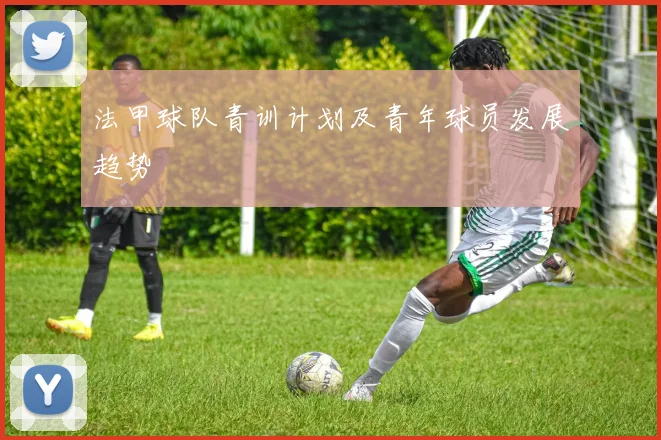 法甲球队青训计划及青年球员发展趋势