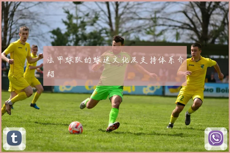 法甲球队的球迷文化及支持体系介绍