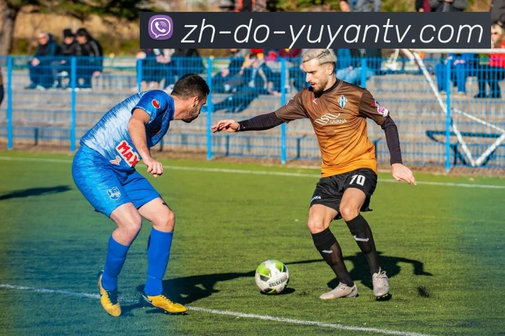 雨燕直播平台生态图