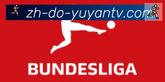 雨燕直播合作伙伴