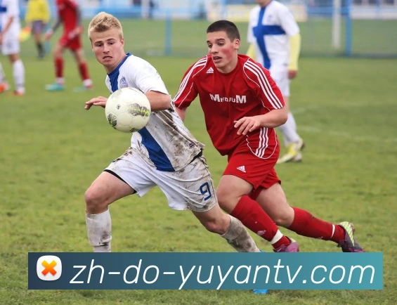 雨燕直播全站App